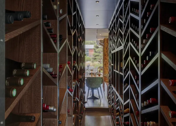 ホテル ル　コテ ヴェール 4*